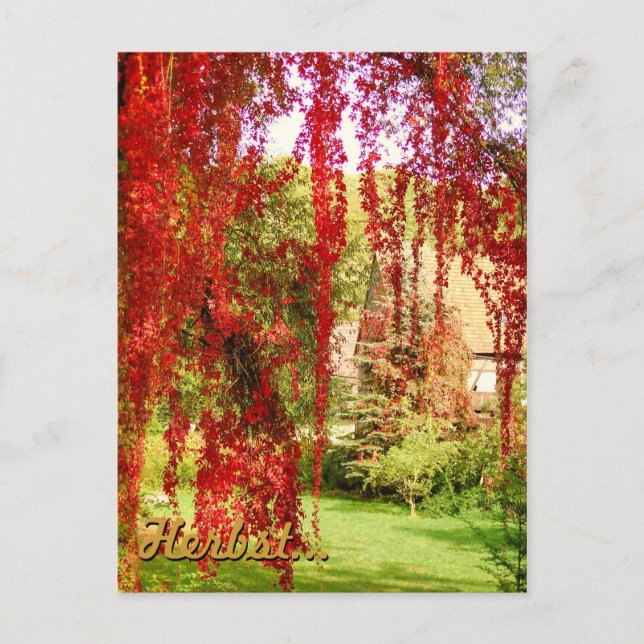 Herbst / Höst Vykort (Framsida)