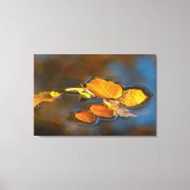Herbstblätter im See Canvastryck