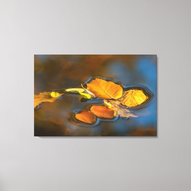 Herbstblätter im See Canvastryck (Framsida)