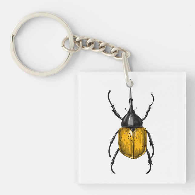 Hercules beetle (Framsidan)
