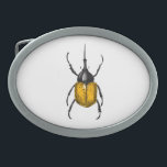 Hercules beetle<br><div class="desc">Handritad vektorillustration av Hercules-skalbaggar</div>