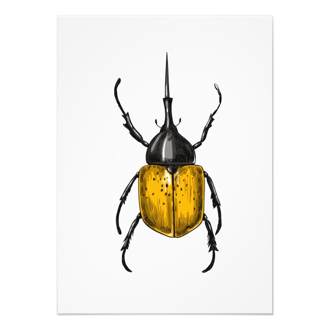 Hercules beetle fototryck (Framsidan)