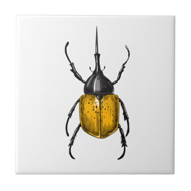 Hercules beetle kakelplatta (Framsidan)