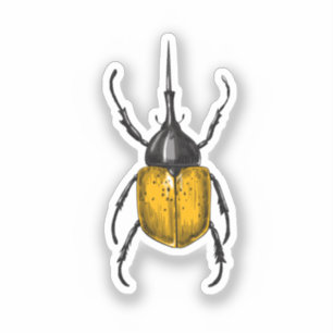 Hercules beetle klistermärken