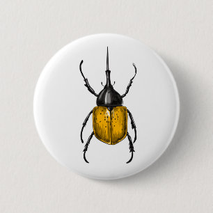 Hercules beetle knapp