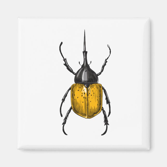 Hercules beetle magnet (Framsidan)