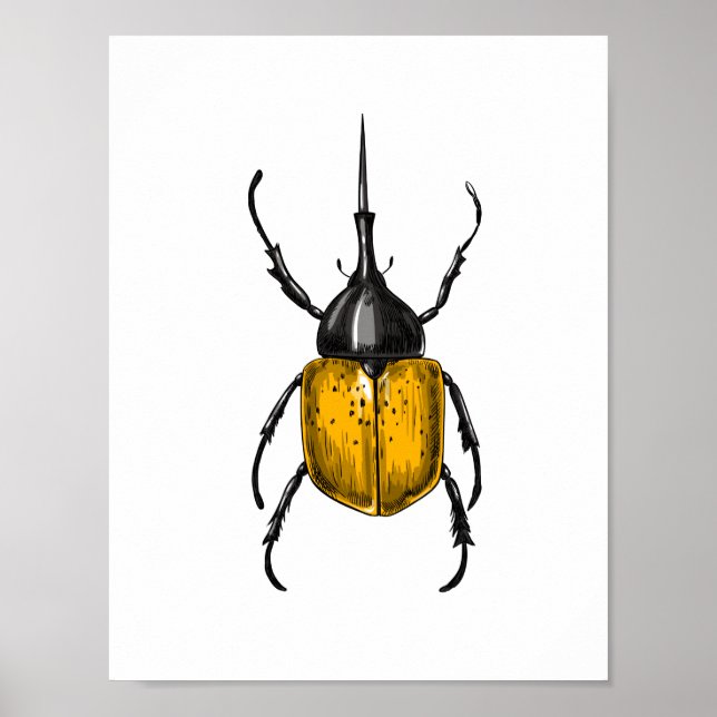 Hercules beetle poster (Framsidan)