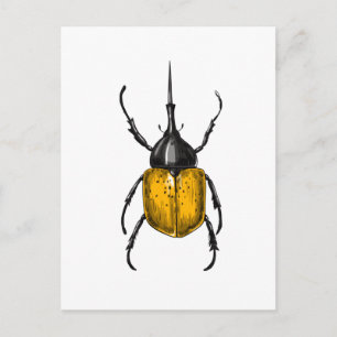 Hercules beetle vykort