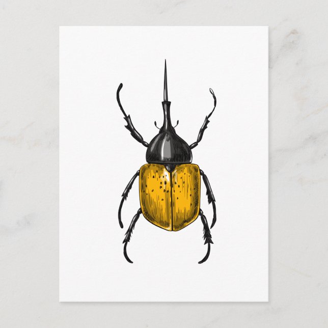 Hercules beetle vykort (Framsida)