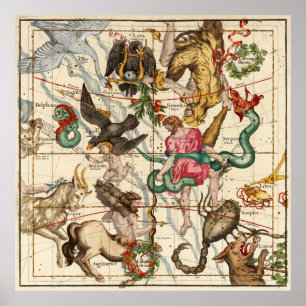 Hercules, Sagittarius, Delphinus och Scorpius Poster