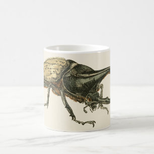 Hercules skalbagge kaffemugg