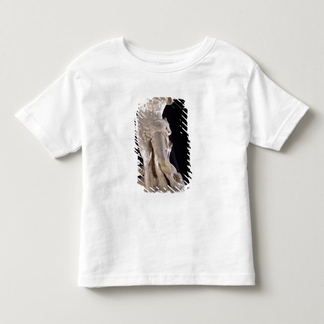 Hercules som slåss den Lernaean hydraen T Shirt (Framsida)