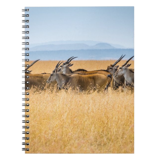HERD AV ANTELOPER PÅ GRÄS FÄLT ANTECKNINGSBOK (Framsidan)