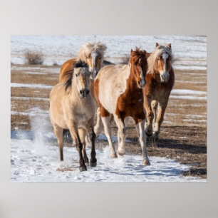Herd av blandade raser som löper i Snö Poster