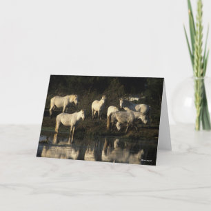 Herd Camargue Ponies står i Vatten Kort