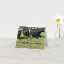 "Herd" Din födelsedag