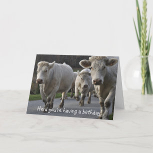 Herd du har en födelsedag! kort