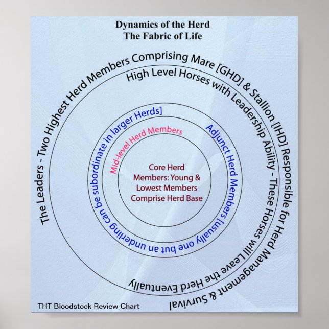 Herd Dynamic Fabric of Life Poster (Framsidan)