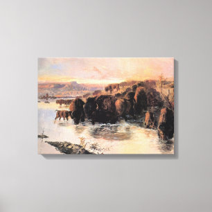 Herd of American Buffalo Canvastryck