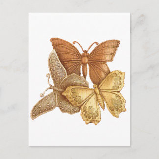 Herd of Butterflies Vykort