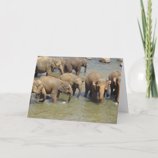 Herd of Elephants Greeting Cards Kort (Framsida)
