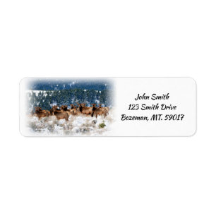 Herd of Elk returadress Etikett