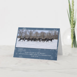 Herd of Friesian Mares-julkort Helgkort