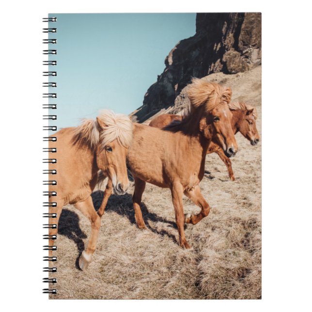 Herd of vild Ponies Anteckningsbok (Framsidan)