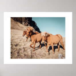 Herd of vild Ponies Poster