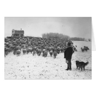 Herde med flocken hälsningskort