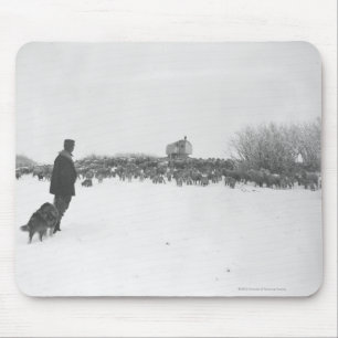 Herde och hund på fårlägret musmatta
