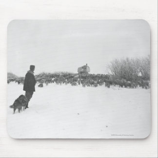 Herde och hund på fårlägret musmatta