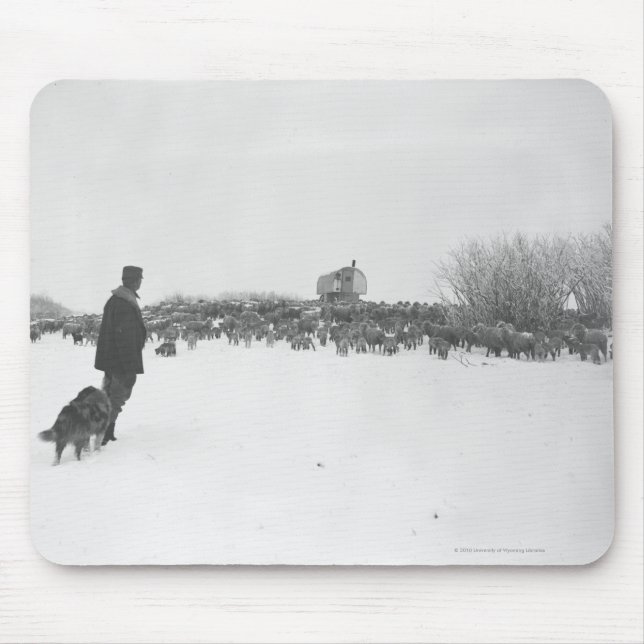 Herde och hund på fårlägret musmatta (Framsidan)