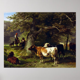 Herde- och koflock på damm poster
