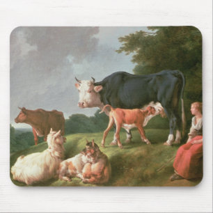 Herde- plats musmatta