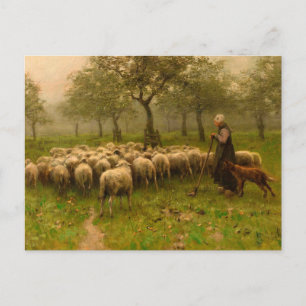 Herderin Met Kudde Schapen från Anton Mauve (c 187 Vykort