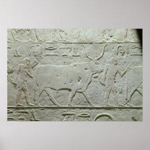 Herdsman som leder en tjur poster
