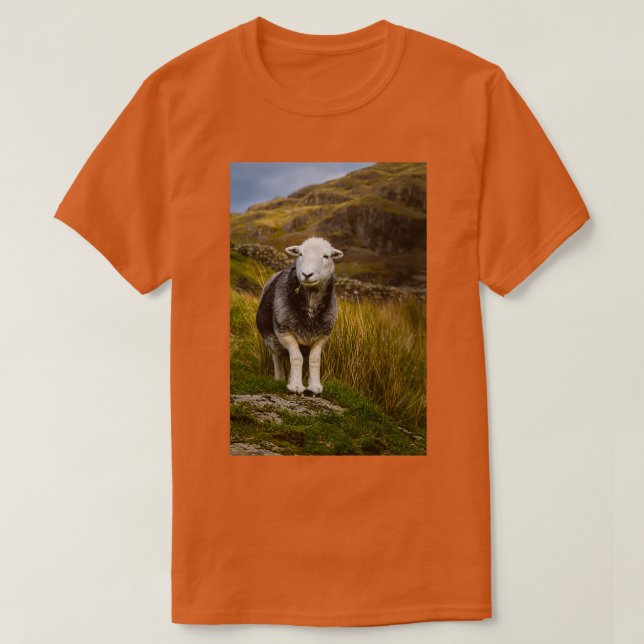 Herdwick Får T Shirt (Design framsida)