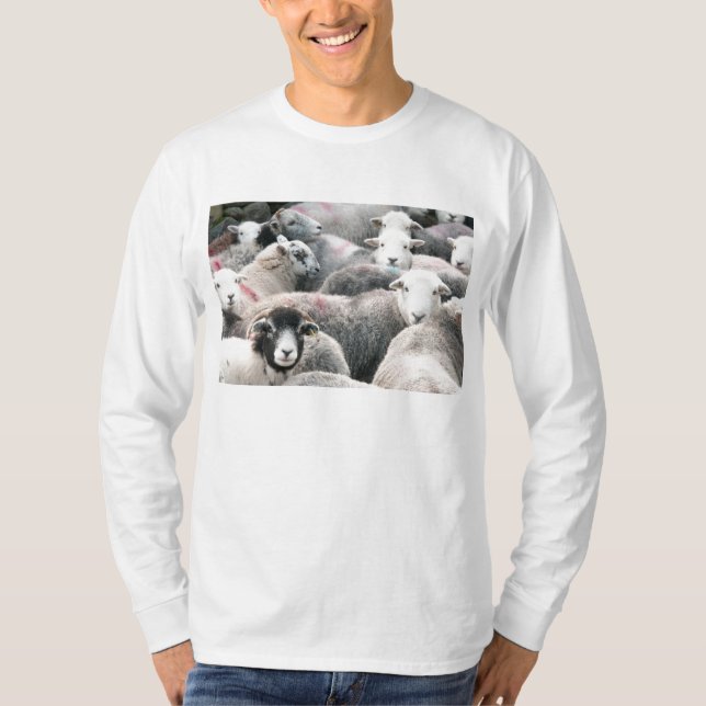 Herdwick får tee shirt (Framsida)