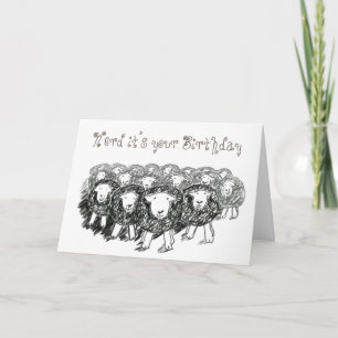 Herdwick Flock Birthday Card Kort