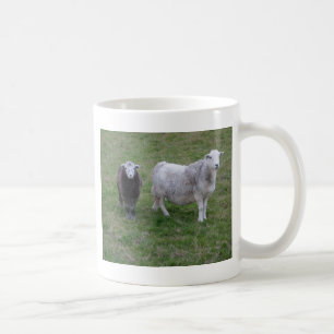 Herdwick tacka och Lambmugg Kaffemugg
