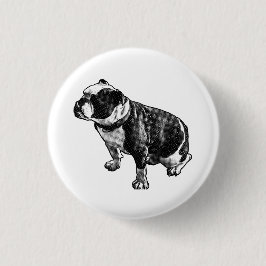 Here and Steady Knapp