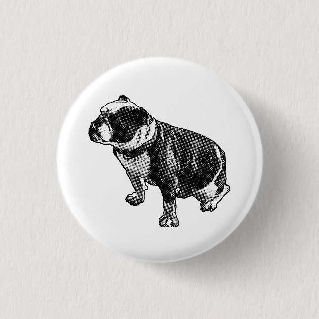 Here and Steady Knapp (Framsida)