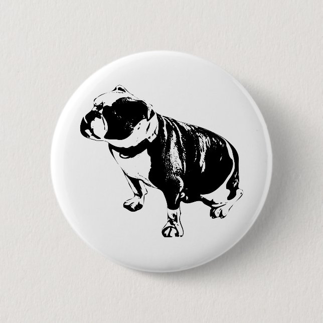 Here, Steady Knapp (Framsida)