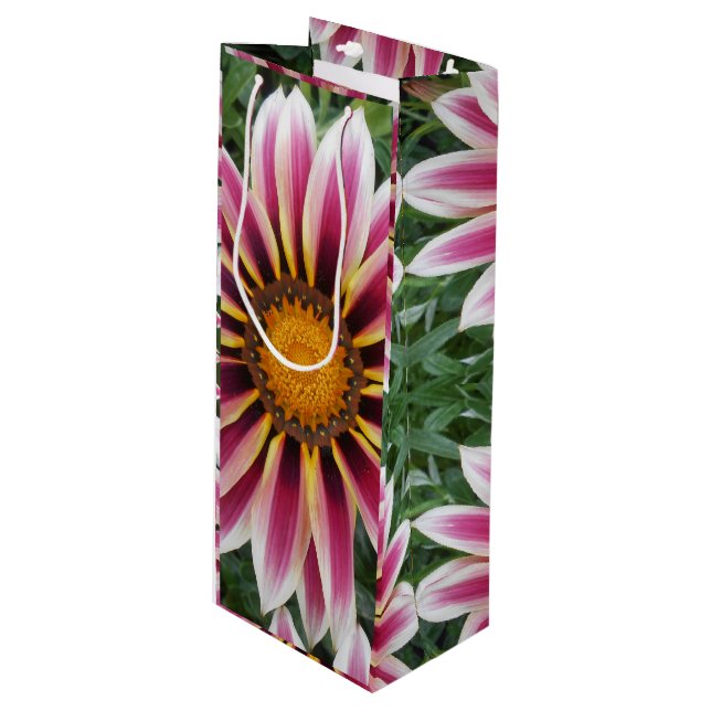 Hereford (Framsidan Vinklad)