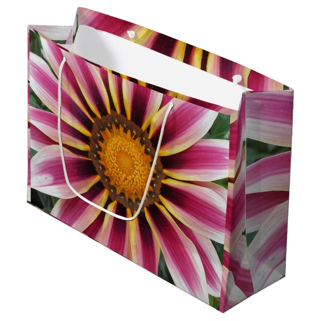 Hereford (Framsidan Vinklad)