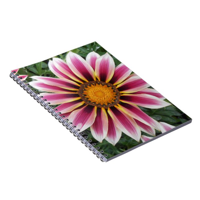 Hereford Anteckningsbok Med Spiral (Högra Sidan)