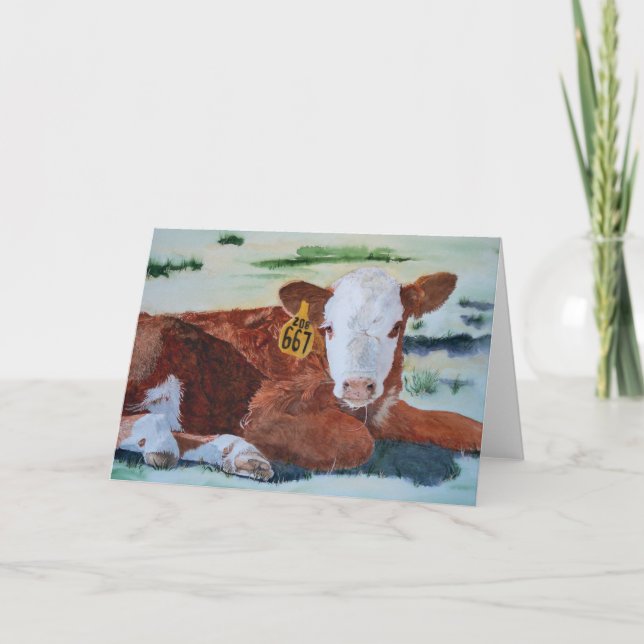 Hereford Calf Kort (Framsida)