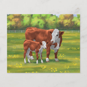 Hereford Cow & Cute Calf i sommarbetesmark