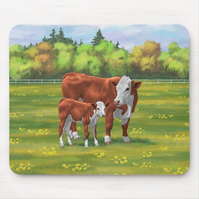 Hereford Cow & Cute Calf i sommarbetesmark Musmatta (Framsidan)